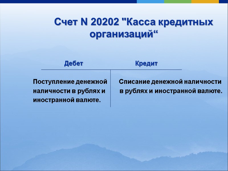Счет N 20202 